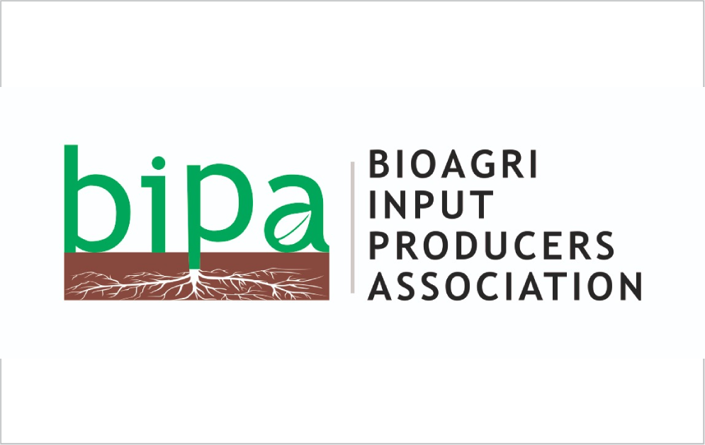 bipa